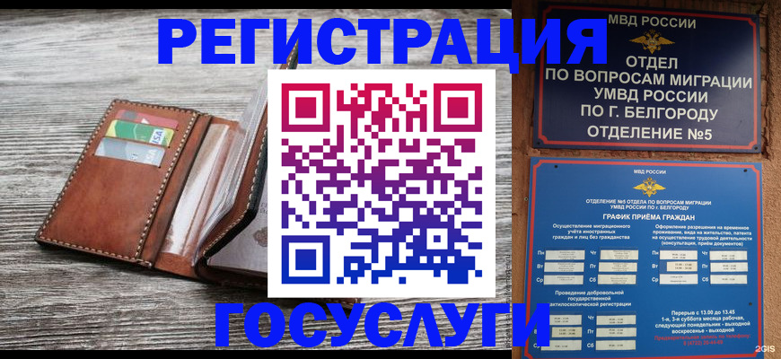 временная регистрация гарантия в Острове